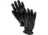 Image of Gloves category