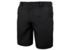 Image of Men's Shorts category