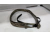 Image of Duty Belts category