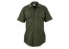 Image of Women's Shirts category