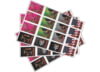 Image of Broadheads &amp; Points category