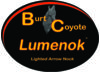 Image of Lumenok category