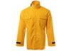 Image of Men's Shirts category