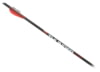 Image of Crossbow Bolts category