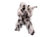 Image of Mens and Womens Apparel category
