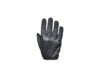 Image of Women's Accessories category
