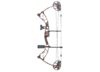 Image of Archery Compound &amp; Recurve Bows category