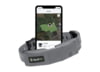 Image of Dog Gear and Training category