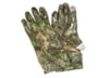 Image of Gloves category