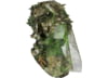 Image of Women's Apparel category