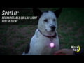 Nite Ize SpotLit Rechargeable Collar Light - Disc-O Tech - Original + Jewel