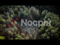 Nocpix Thermal Imaging monocular - Vista Series - Ultimate Visual Experience
