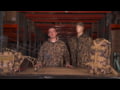 Dive Into It with Dan: The Rothco X Bear Archery Collection