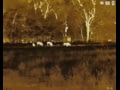 ATN BlazeSeeker Thermal Imaging Monocular Night View Video