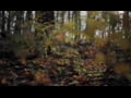 Titan 3D Leafy Suits in Action