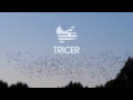 Tricer GTP-I Hiking Tripod