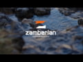 Zamberlan 996 Vioz GTX Men's Hiking Shoes