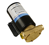 Image of Albin Pump Marine General Purpose Pump FIP F4 12 GPM