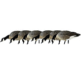 Image of Avian X Feeder Pack APX Lessers