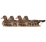 Image of Avian X Topflight Specklebelly Floaters - 4 Pack