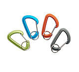 Black Diamond Micron Accessory Carabiner, One Size, BD8002020000ALL1
