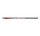 Image of BloodSport Hunter Crossbow Bolts