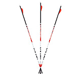 Image of Carbon Express Maxima Triad Arrows