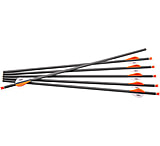 Image of Centerpoint Xbow Arrow 20" Cp400 Carbon 6pk