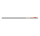 Image of Easton 6.5 RTS Junior Arrows