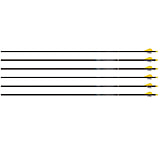 Image of Easton Arrow Sonic 6.0 w/2in Bully Vanes