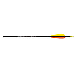 Image of Easton Gamegetter XX75 Arrows