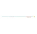 Image of Easton Genesis Arrows 1006140