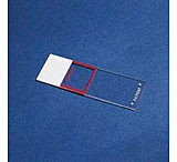 Image of Erie Scientific Histology Control Plus Microscope Slides, Erie Scientific ES-334PLUS Plus Control, 1", Automated