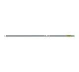 Image of Gold Tip Fiberglass Arrows