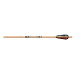 Image of Gold Tip Traditional Arrows