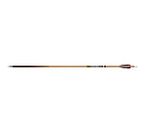 Image of Gold Tip Traditional Classic