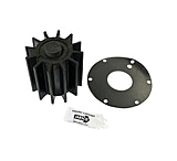 Image of Jabsco 17370-0001-P 12 Blade Impeller