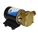 Image of Jabsco Ballast Pump