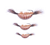 Image of Kenders Outdoors Akua Natural Shrimp