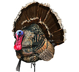 Image of Montana Decoy Co. Wiley Tom 3D Turkey Decoy