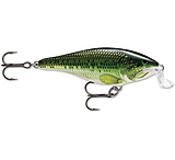 Image of Rapala Shallow Shad Rap Crankbait, 2in, 3/16 oz,Floating