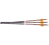 Image of Ravin Match Weight Lighted Bolts 400Gr