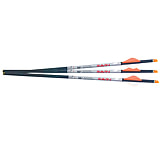 Image of Ravin .003 R18 Lighted Arrows