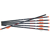Image of Ravin .003 R18 Arrows