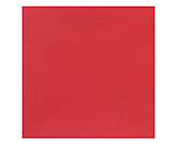 Image of Rothco Solid Bandana