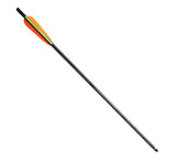 Image of SA Sports Outdoor Gear Bang Sticks Carbon Bolts, Pack - 36