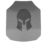 Spartan Armor Systems AR550 Steel Core Body Armor, 10x12, Set Of Two