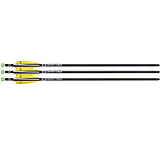 Image of Tenpoint Crossbow Technologies Tenpoint Xbow Arrow 16" Evo-x Center Punch Alpha Blaze 3pk