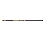 Image of Victory VAP Elite Arrow