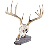 Image of Walnut Hollow Euro Mount Kit